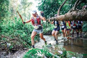 BIB: 
                            <button type="button" onclick="openModal(25458931)" class="btn btn-primary btn-sm float-right btn-popup" data-toggle="modal" data-target=".modal-high-quality">
                        <i class="fas fa-shopping-cart"></i> Add to Cart
                    </button>
                                            <button type="button" onclick="isThisMe(25458931, true)" class="btn btn-success btn-sm float-right btn-popup btn-isme hidden" data-toggle="tooltip" data-placement="bottom" title="นี่คือรูปของคุณใช่ไหม คลิกที่นี่เพื่อเอาเข้าอัลบั้ม">
                        <i class="fas fa-plus"></i> Add to album
                    </button>
                    <button type="button" onclick="isThisMe(25458931, false)" class="btn btn-warning btn-sm float-right btn-popup btn-isnotme hidden">
                        <i class="fas fa-ban"></i> Remove from album
                    </button>